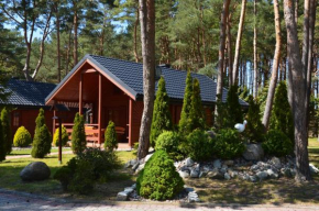 Domki Pod Wydmami 40m od plaży, Dzwirzyno
